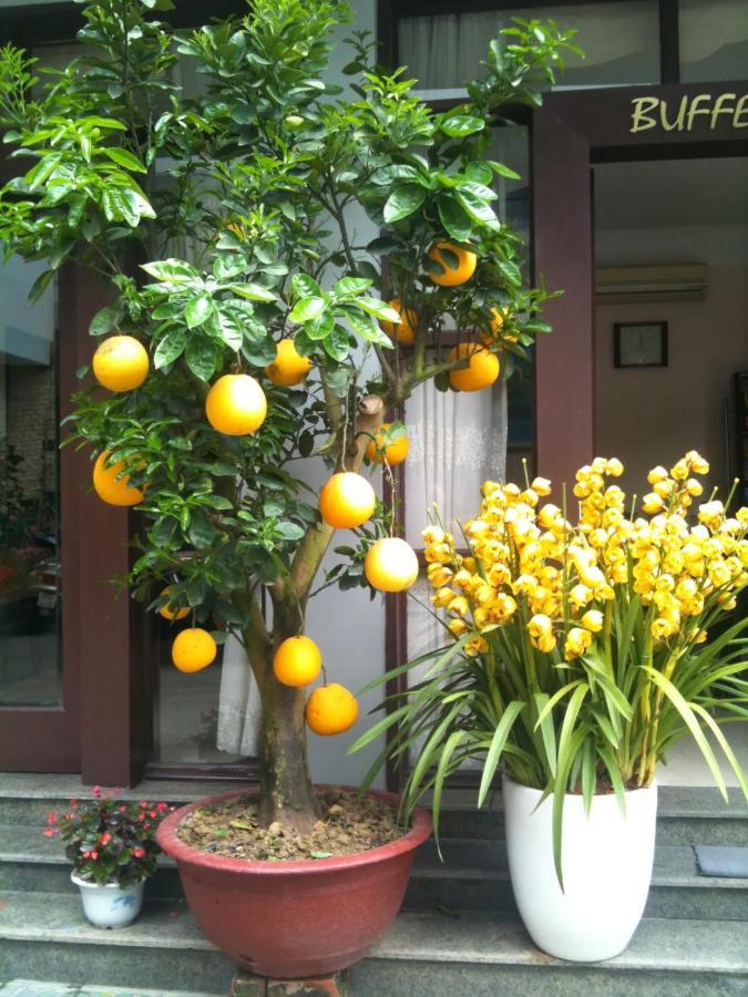 Thien Anh Hotel ハイフォン エクステリア 写真