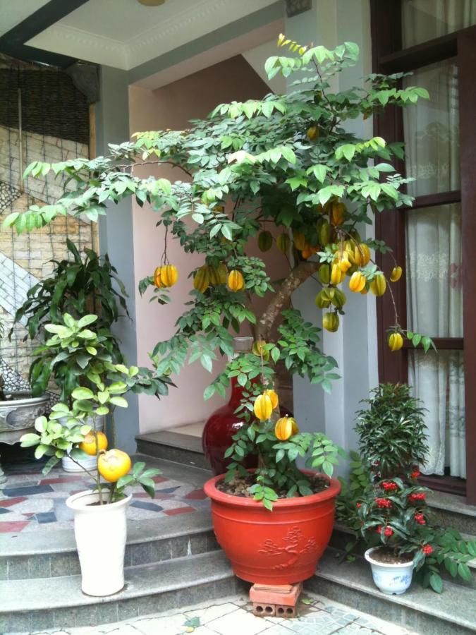 Thien Anh Hotel ハイフォン エクステリア 写真